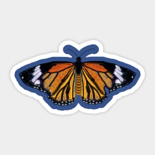 Spirograph Painted Lady Orange Butterfly Sticker